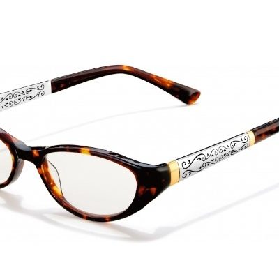 Brighton Venezia tort reader A20294